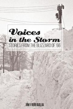 portada Voices in the Storm: Stories From The Blizzard of '66 (en Inglés)