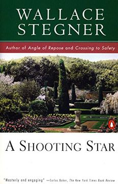portada A Shooting Star (en Inglés)