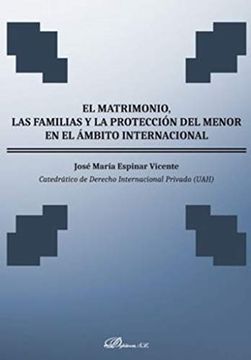 portada Matrimonio, las Familias y la Proteccin del Menor en el Ambito Internacional, el