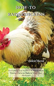portada How-To Raise Chickens: Everything you Need to Know to Start Raising Chickens Right in Your own Backyard (en Inglés)