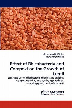 portada effect of rhizobacteria and compost on the growth of lentil