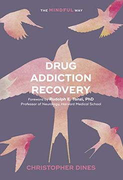 portada Drug Addiction Recovery: The Mindful Way (en Inglés)