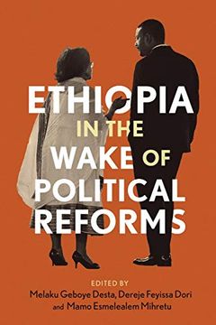 portada Ethiopia in the Wake of Political Reforms (en Inglés)