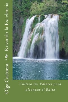 portada Rozando la Excelencia: Cultiva tus Valores para alcanzar el Exito (Spanish Edition)