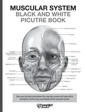 portada Muscular System Black and White Picture Book: Guide For The Muscular System