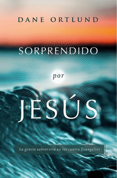 portada Sorprendido por Jesús