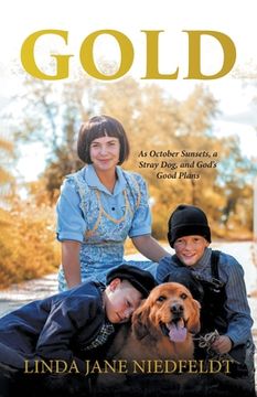 portada Gold: As October Sunsets, a Stray Dog, and God's Good Plans (en Inglés)
