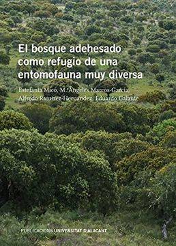 portada El Bosque Adehesado Como Refugio de una Entomofauna muy Diversa (in Spanish)