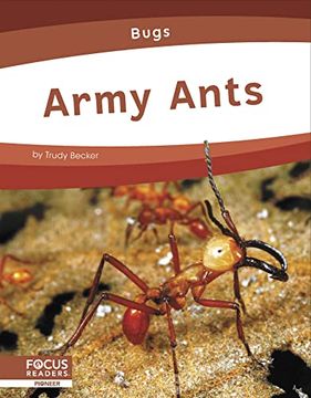 portada Army Ants (Bugs) (en Inglés)