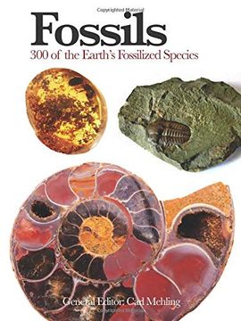 portada Fossils: 300 of the Earth's Fossilized Species (Mini Encyclopedia) (en Inglés)