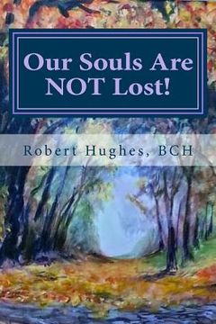 portada Our Souls Are Not Lost!: Messages and Meditations (en Inglés)