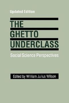 portada the ghetto underclass: social science perspectives (in English)