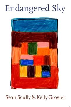 portada Endangered Sky: Sean Scully and Kelly Grovier