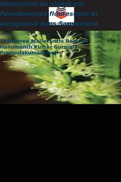 portada Absorption du plomb par Pseudomonas flourescens et aeruginosa dans Sansevieria (en Francés)