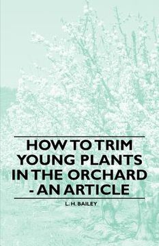 portada how to trim young plants in the orchard - an article
