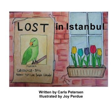 portada Lost in Istanbul