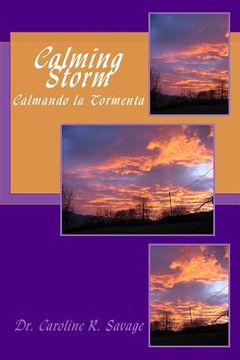 portada Calming Storm // Calmando la Tormenta (in English)