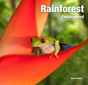 portada Rainforest: Endangered (Abandoned Places) (en Inglés)