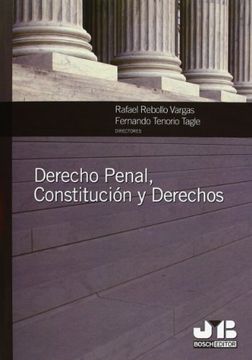 Derecho Penal, Constitución y Derechos.