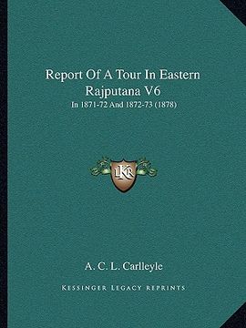 portada report of a tour in eastern rajputana v6: in 1871-72 and 1872-73 (1878) (en Inglés)