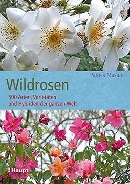 portada Wildrosen -Language: German (en Alemán)