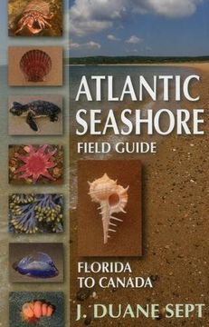portada Atlantic Seashore Field Guide: Florida to Canada