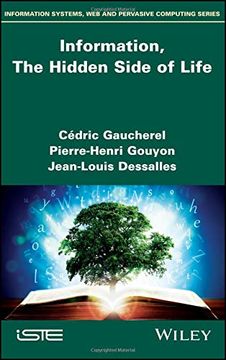 portada Information, the Hidden Side of Life (in English)