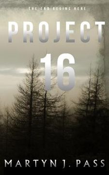 portada Project 16 (en Inglés)
