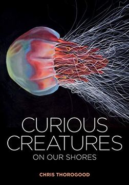 portada Curious Creatures on our Shores (en Inglés)