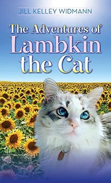 portada The Adventures of Lambkin the cat 