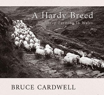 portada A Hardy Breed: Sheep Farming in Wales (en Inglés)