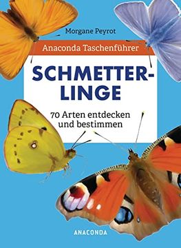 portada Anaconda Taschenführer Schmetterlinge. 70 Arten Entdecken und Bestimmen (en Alemán)