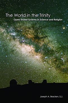 portada The World in the Trinity: Open-Ended Systems in Science and Religion (in English)