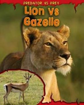 portada lion vs gazelle