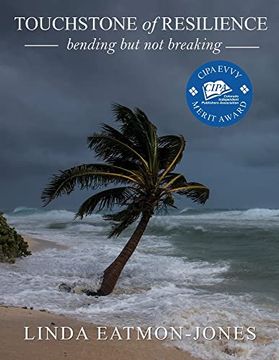 portada Touchstone of Resilience: Bending but not Breaking 