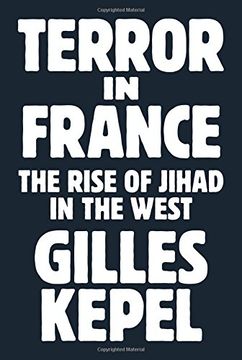 portada Terror in France: The Rise of Jihad in the West (Princeton Studies in Muslim Politics)