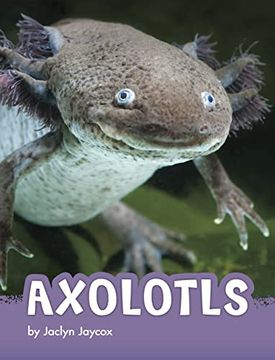 portada Axolotls (Animals) (in English)