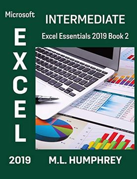 portada Excel 2019 Intermediate (2) (Excel Essentials 2019) (in English)