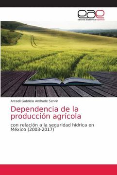 portada Dependencia de la Producción Agrícola: Con Relación a la Seguridad Hídrica en México (2003-2017) (in Spanish)
