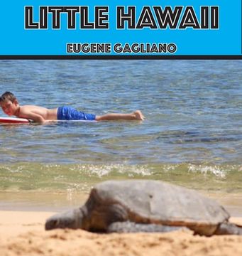 portada Little Hawaii (en Inglés)