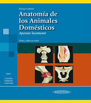 portada Anatomía de los Animales Domésticos: Aparato Locomotor. Texto y Atlas en Color