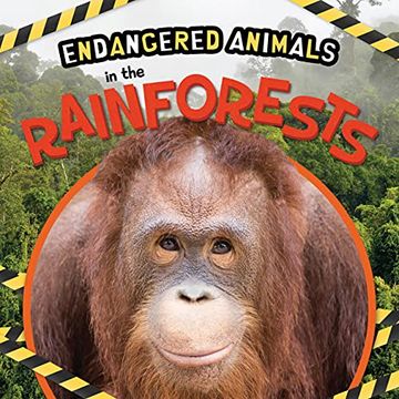portada In the Rainforests (Endangered Animals) (en Inglés)