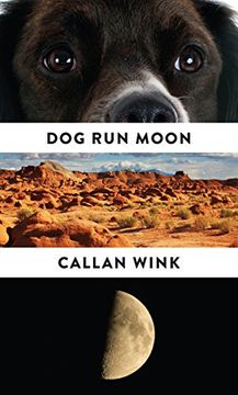 portada Dog run Moon: Stories 