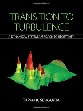 portada Transition to Turbulence: A Dynamical System Approach to Receptivity (en Inglés)