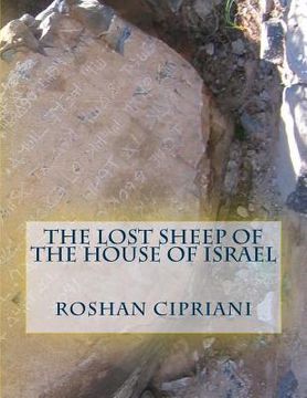 portada The Lost Sheep Of The House Of Israel (en Inglés)