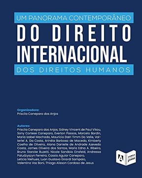 portada Um Panorama Contemporâneo do Direito Internacional dos Direitos Humanos (en Portugués)