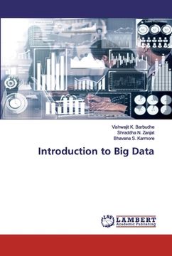 portada Introduction to Big Data (en Inglés)