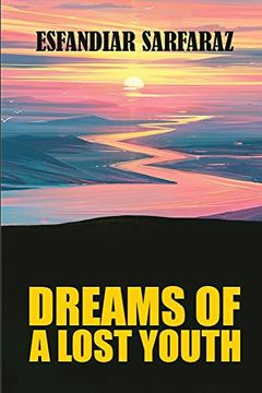 portada Dreams of a Lost Youth (in English)