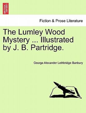 portada the lumley wood mystery ... illustrated by j. b. partridge. (en Inglés)