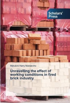 portada Unravelling the effect of working conditions in fired brick industry